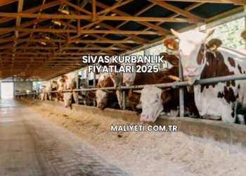 Sivas Kurbanlık Fiyatları 2025