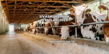 Sivas Kurbanlık Fiyatları 2025