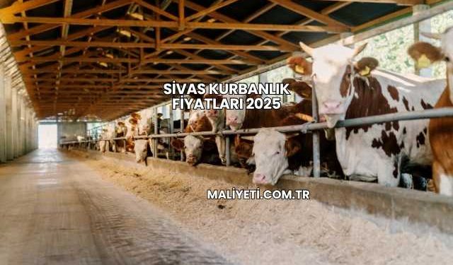 Sivas Kurbanlık Fiyatları 2025