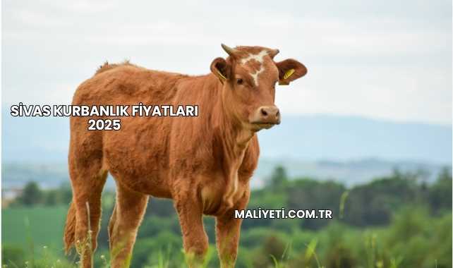 Sivas Kurbanlık Fiyatları 2025