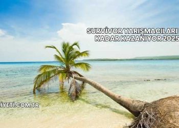 Survivor Yarışmacıları Ne Kadar Kazanıyor 2025