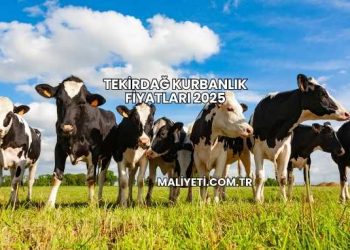 Tekirdağ Kurbanlık Fiyatları 2025