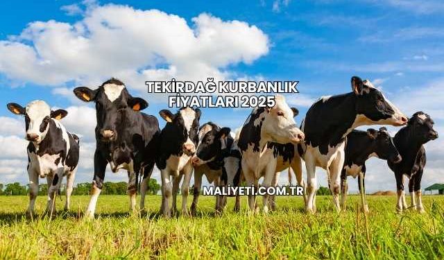 Tekirdağ Kurbanlık Fiyatları 2025