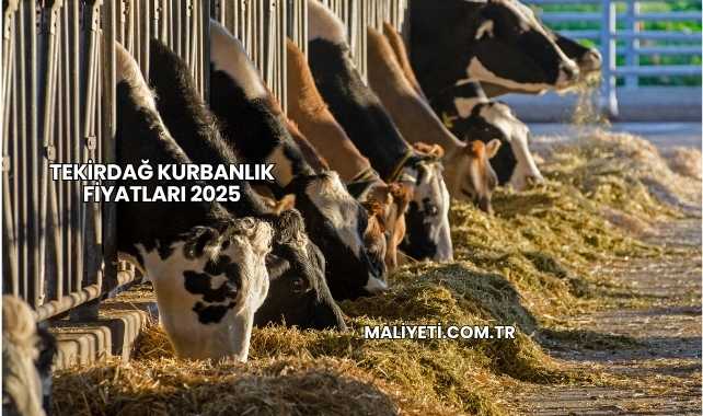 Tekirdağ Kurbanlık Fiyatları 2025