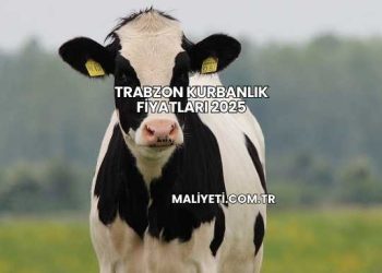 Trabzon Kurbanlık Fiyatları 2025