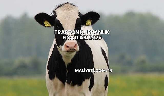 Trabzon Kurbanlık Fiyatları 2025