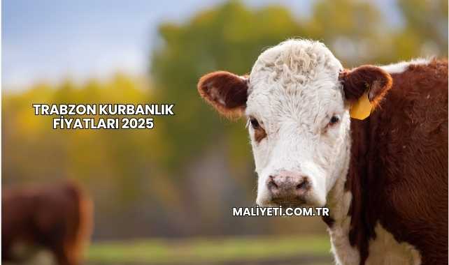Trabzon Kurbanlık Fiyatları 2025