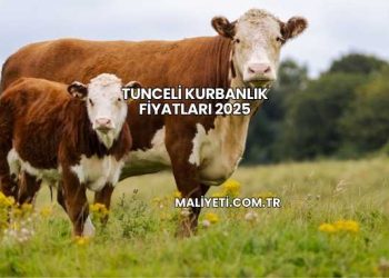 Tunceli Kurbanlık Fiyatları 2025