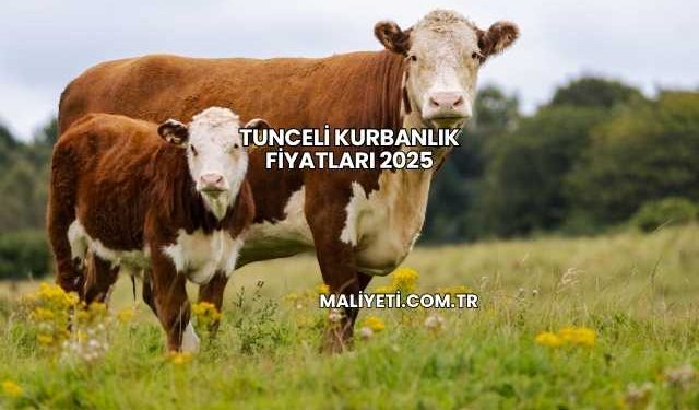 Tunceli Kurbanlık Fiyatları 2025