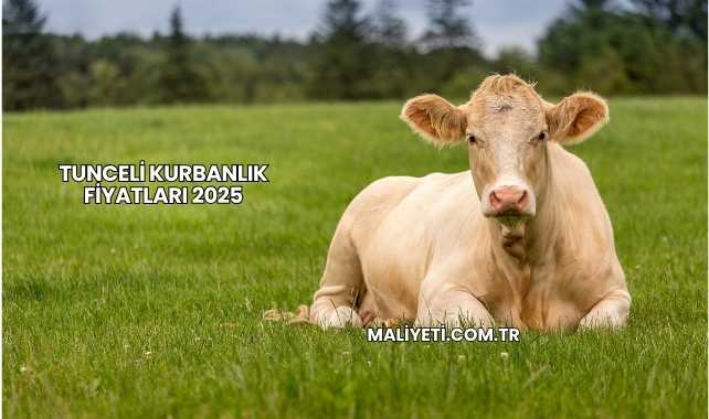 Tunceli Kurbanlık Fiyatları 2025