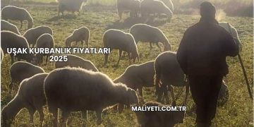 Uşak Kurbanlık Fiyatları 2025