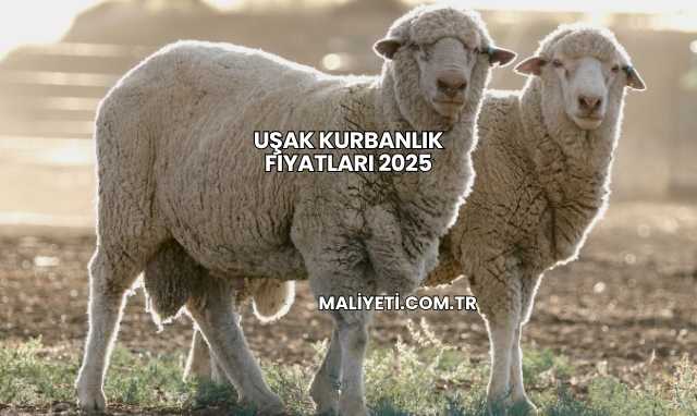 Uşak Kurbanlık Fiyatları 2025