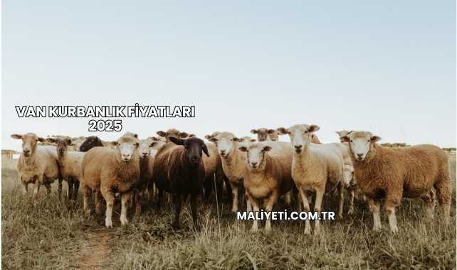 Van Kurbanlık Fiyatları 2025
