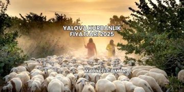 Yalova Kurbanlık Fiyatları 2025