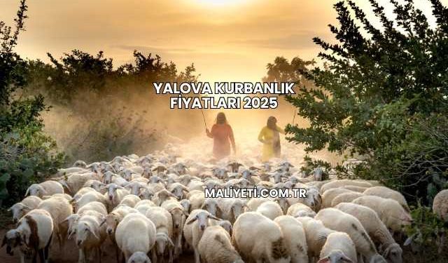 Yalova Kurbanlık Fiyatları 2025