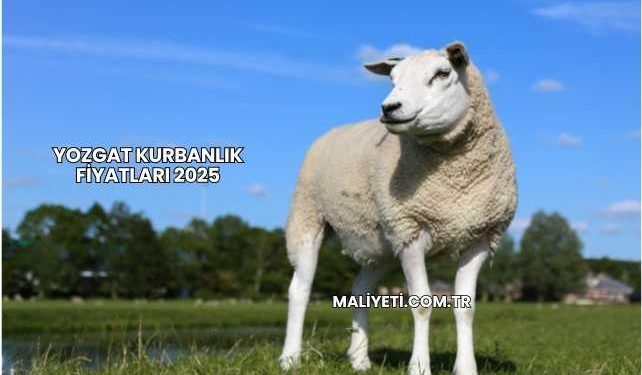 Yozgat Kurbanlık Fiyatları 2025