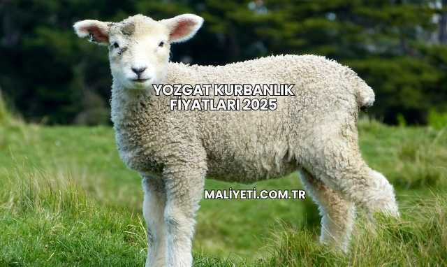 Yozgat Kurbanlık Fiyatları 2025