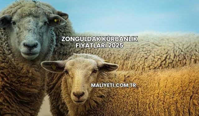 Zonguldak Kurbanlık Fiyatları 2025