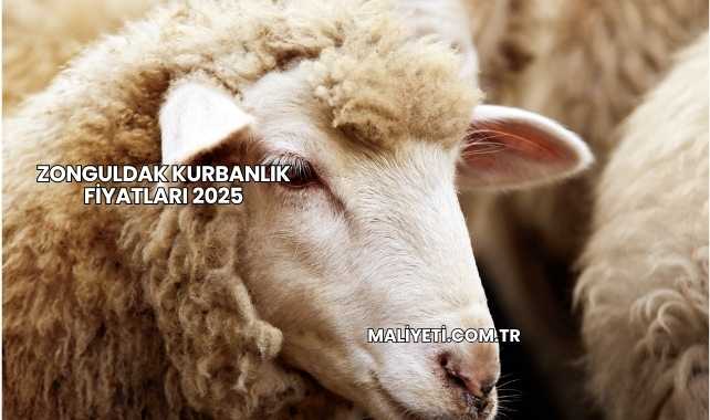 Zonguldak Kurbanlık Fiyatları 2025