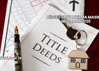 Hisseli Tapu Ayırma Masrafı Ne Kadar 2025