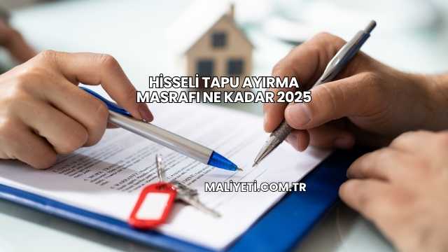 Hisseli Tapu Ayırma Masrafı Ne Kadar 2025