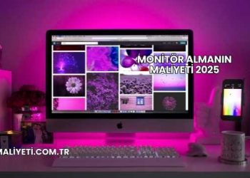 Monitör Almanın Maliyeti 2025