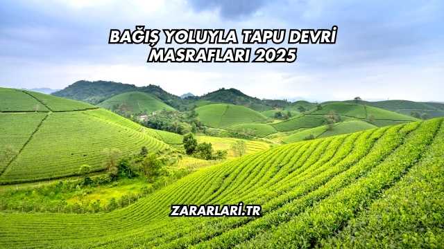 Bağış Yoluyla Tapu Devri Masrafları 2025