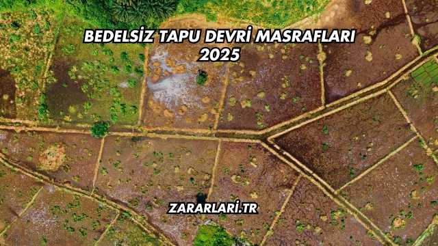 Bedelsiz Tapu Devri Masrafları 2025