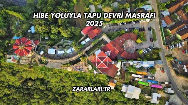 Hibe Yoluyla Tapu Devri Masrafı 2025