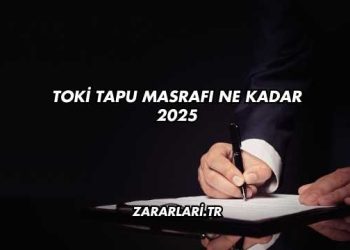Toki Tapu Masrafı Ne Kadar 2025