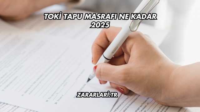 Toki Tapu Masrafı Ne Kadar 2025