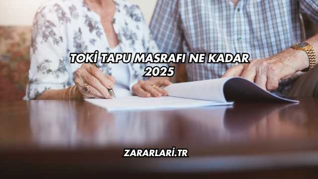 Toki Tapu Masrafı Ne Kadar 2025