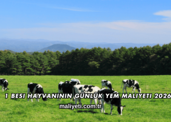 1 Besi Hayvanının Günlük Yem Maliyeti 2026