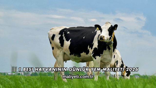 1 Besi Hayvanının Günlük Yem Maliyeti 2026