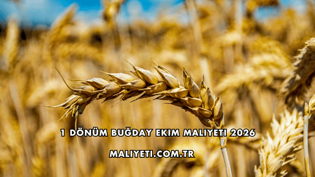 1 Dönüm Buğday Ekim Maliyeti 2026