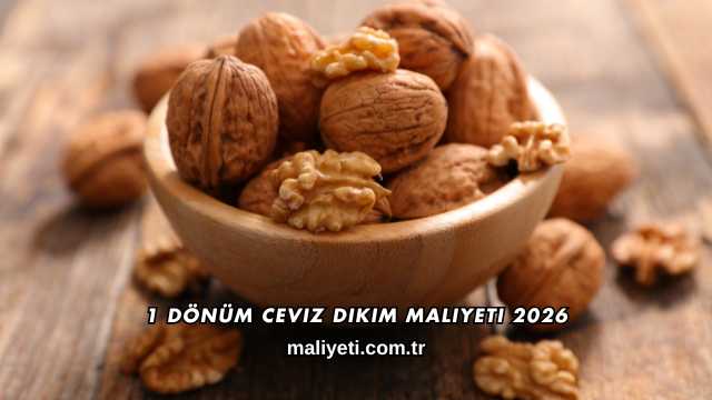 1 Dönüm Ceviz Dikim Maliyeti 2026