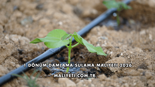 1 Dönüm Damlama Sulama Maliyeti 2026