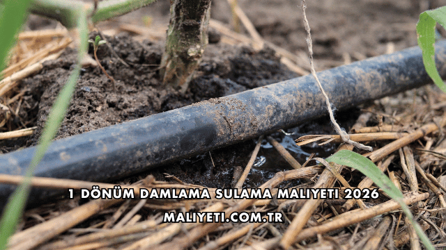 1 Dönüm Damlama Sulama Maliyeti 2026