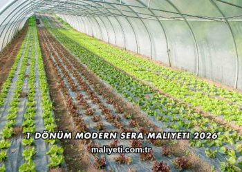 1 Dönüm Modern Sera Maliyeti 2026