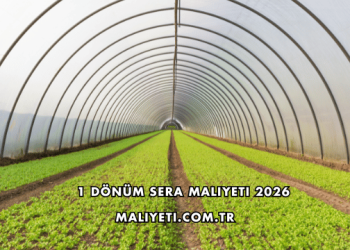 1 Dönüm Sera Maliyeti 2026