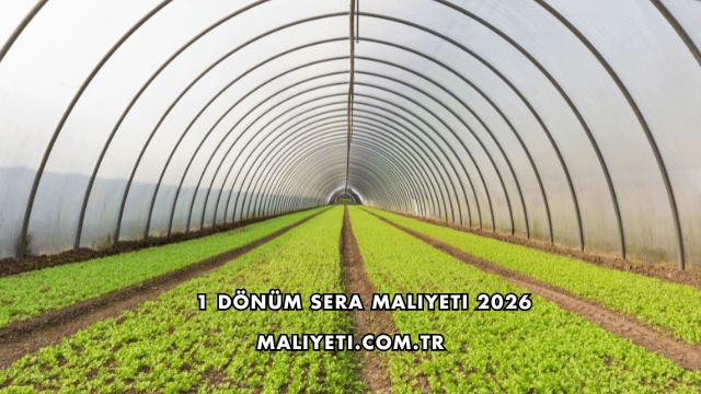 1 Dönüm Sera Maliyeti 2026