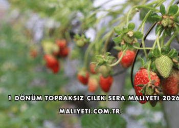 1 Dönüm Topraksız Çilek Sera Maliyeti 2026