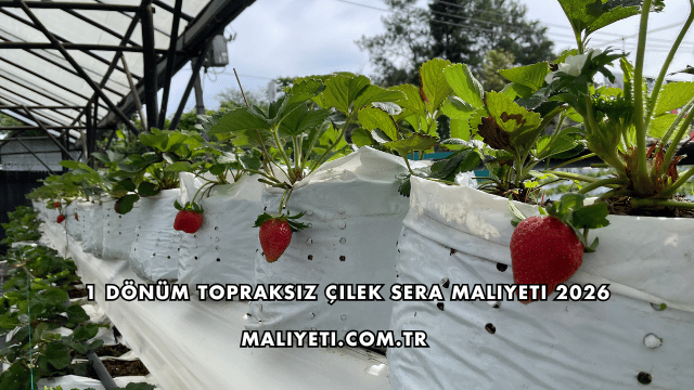 1 Dönüm Topraksız Çilek Sera Maliyeti 2026