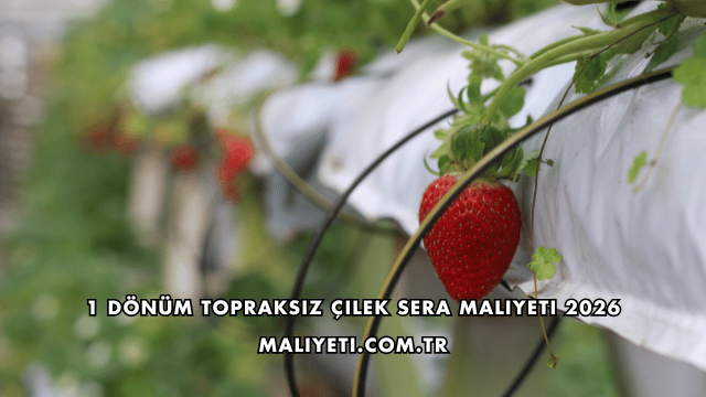 1 Dönüm Topraksız Çilek Sera Maliyeti 2026