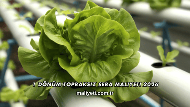 1 Dönüm Topraksız Sera Maliyeti 2026