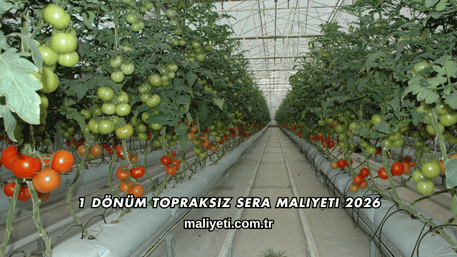1 Dönüm Topraksız Sera Maliyeti 2026
