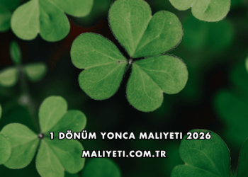 1 Dönüm Yonca Maliyeti 2026