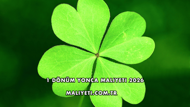 1 Dönüm Yonca Maliyeti 2026