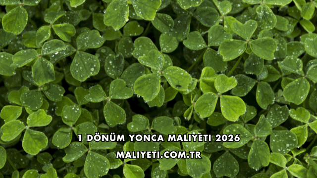 1 Dönüm Yonca Maliyeti 2026