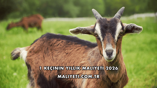 1 Keçinin Yıllık Maliyeti 2026